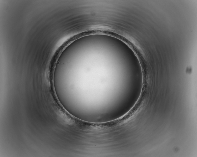 X0000102381022200808011532