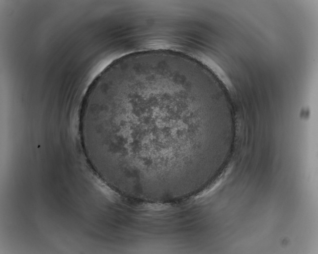 X0000102381023200808011532