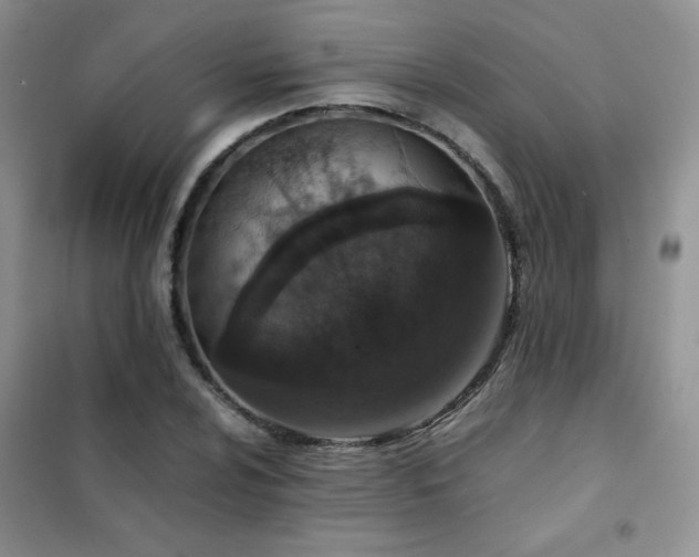 X0000102381024200808011532