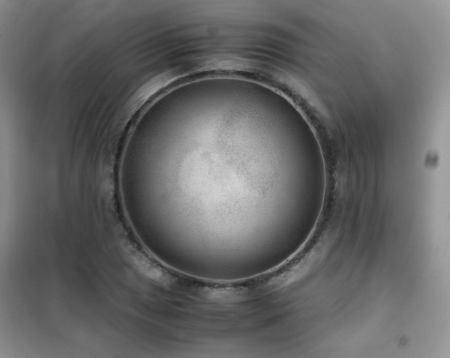 X0000102381025200808011532