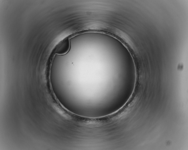 X0000102381026200808011532