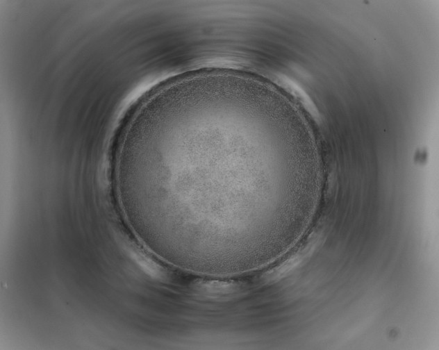 X0000102381027200808011532