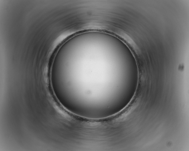 X0000102381030200808011532