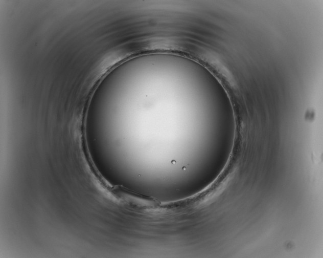 X0000102381033200808011532