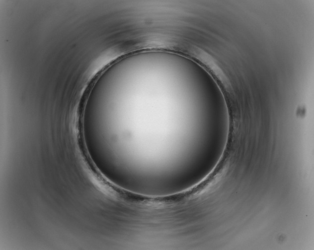 X0000102381034200808011532