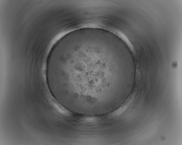 X0000102381035200808011532
