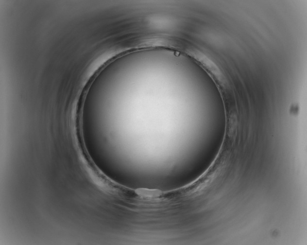 X0000102381039200808011532