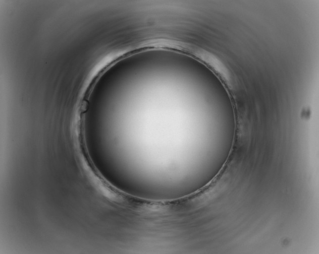 X0000102381040200808011532