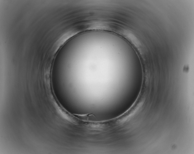 X0000102381041200808011532