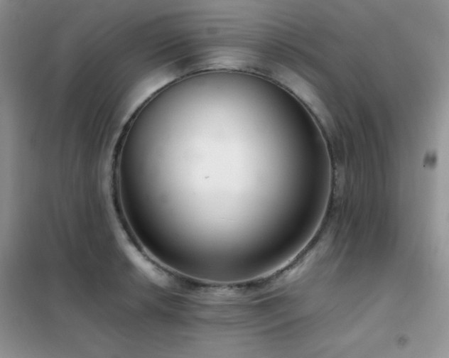X0000102381042200808011532