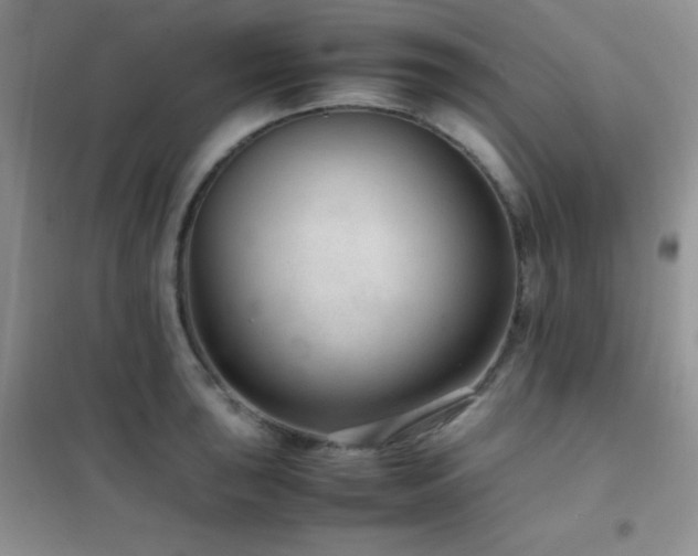 X0000102381043200808011532