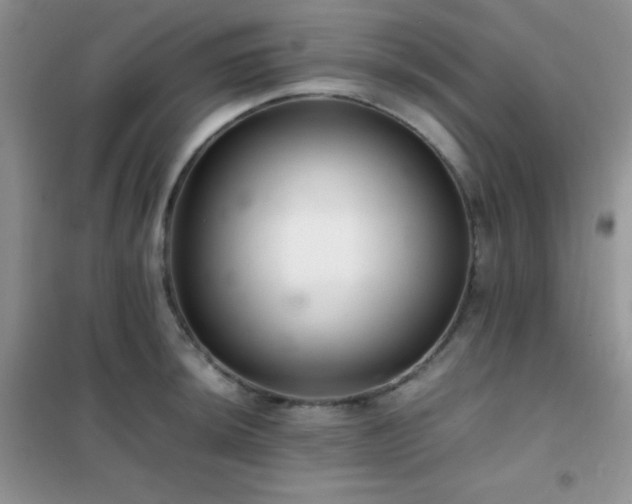 X0000102381044200808011532