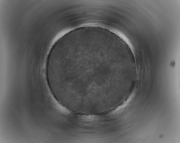 X0000102381045200808011532