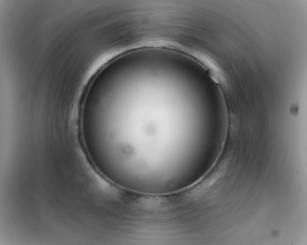 X0000102381046200808011532
