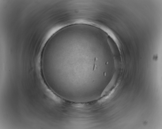 X0000102381048200808011532