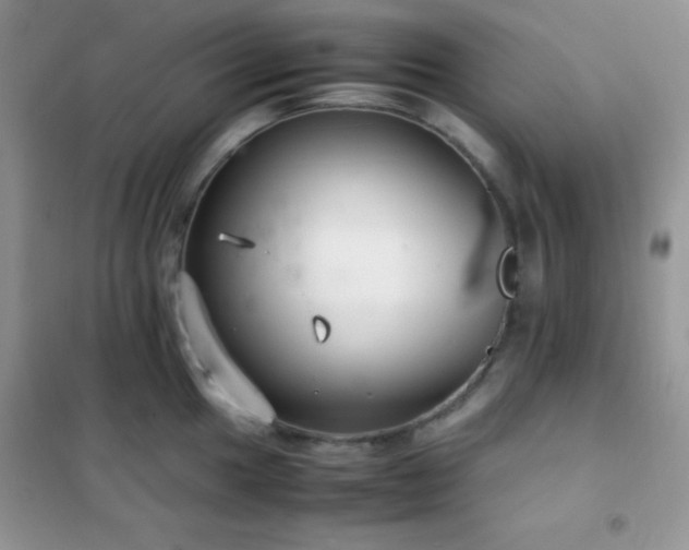 X0000102381049200808011532