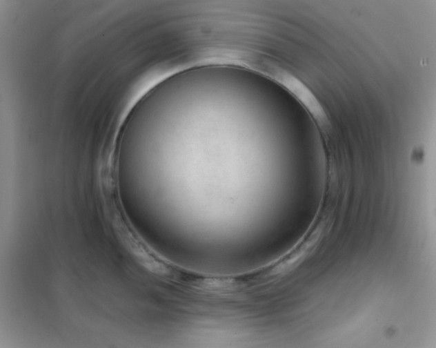X0000102381052200808011532