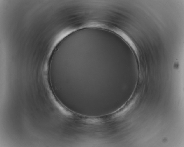 X0000102381053200808011532