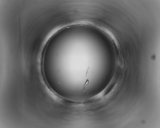 X0000102381054200808011532