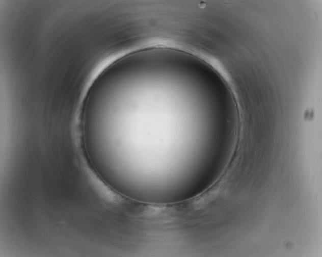 X0000102381056200808011532