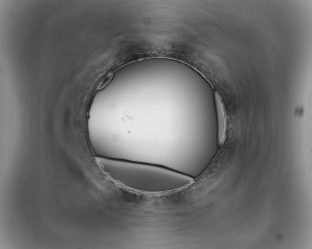X0000102381057200808011532