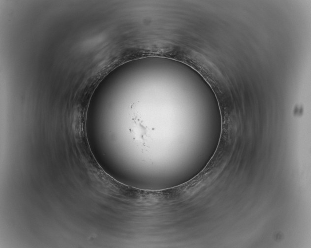 X0000102381058200808011532