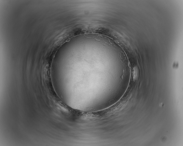 X0000102381059200808011532
