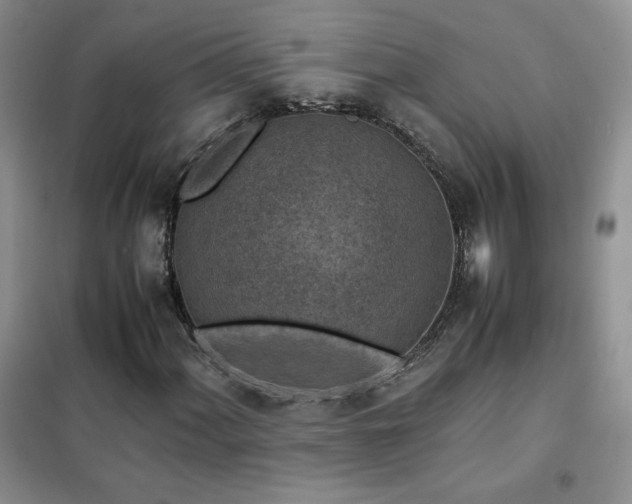 X0000102381060200808011532