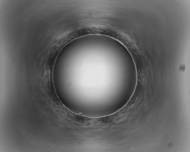 X0000102381061200808011532