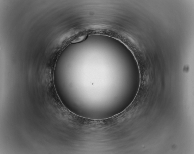 X0000102381062200808011531