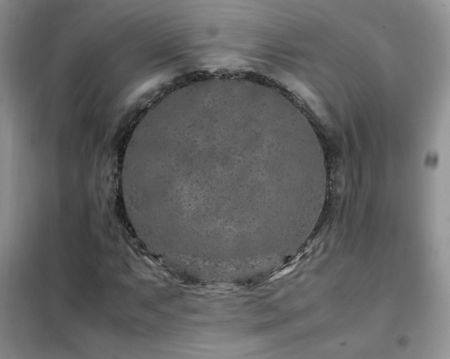 X0000102381063200808011531