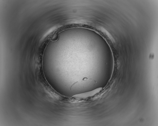 X0000102381064200808011531