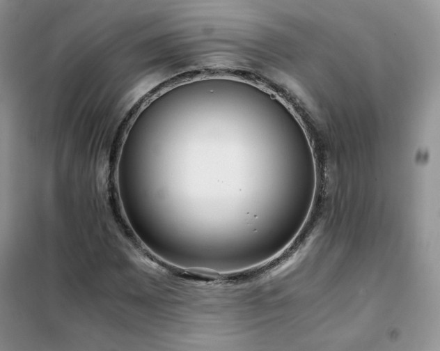 X0000102381065200808011531