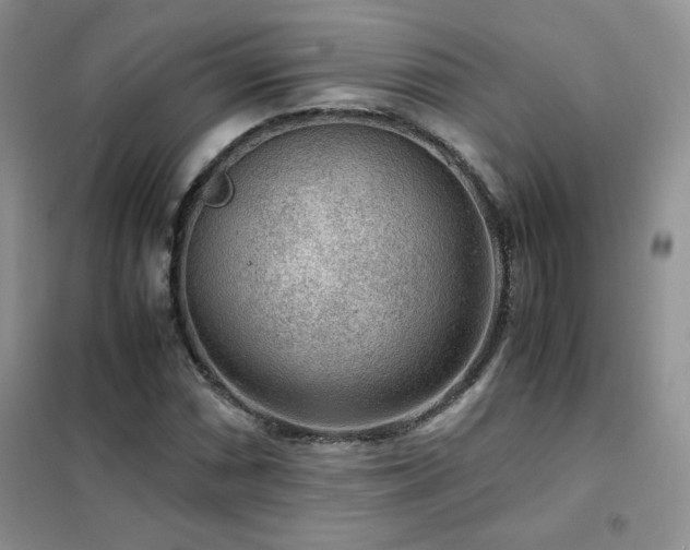 X0000102381066200808011531