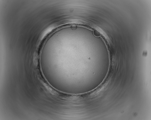 X0000102381067200808011531