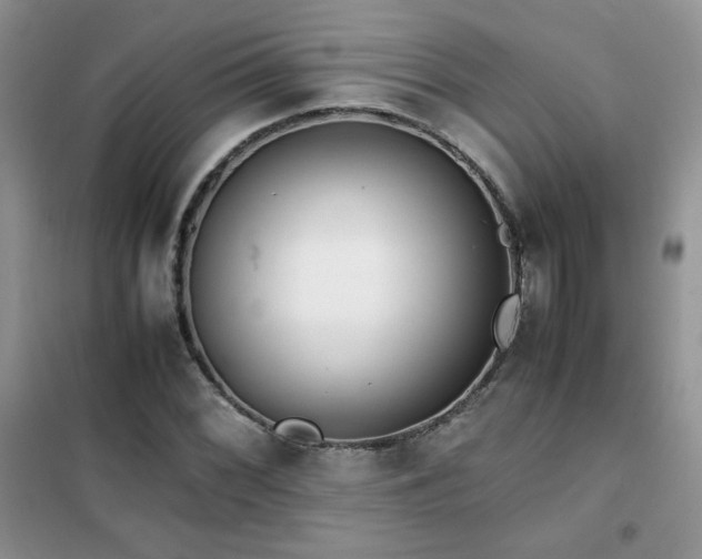 X0000102381068200808011531