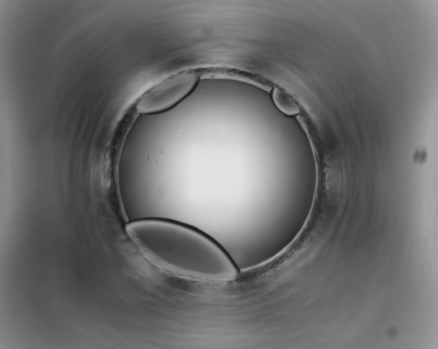 X0000102381069200808011531