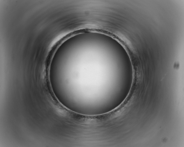 X0000102381070200808011531