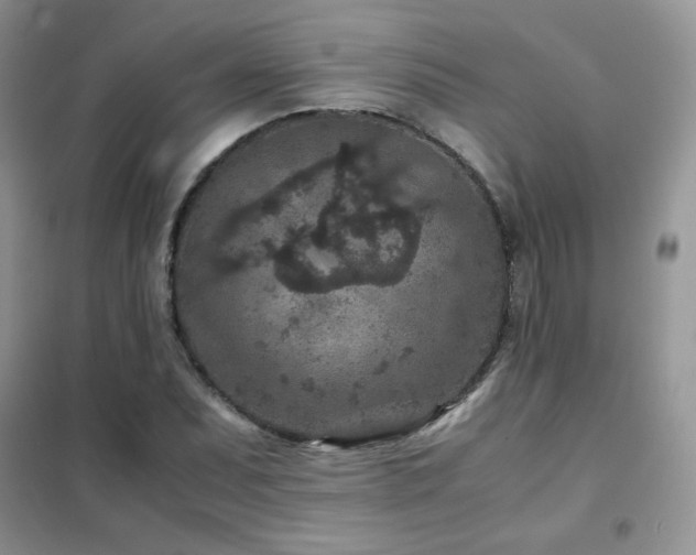 X0000102381071200808011531