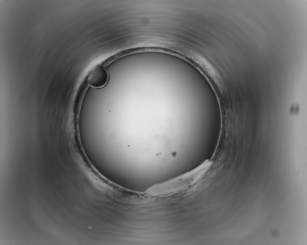 X0000102381072200808011531