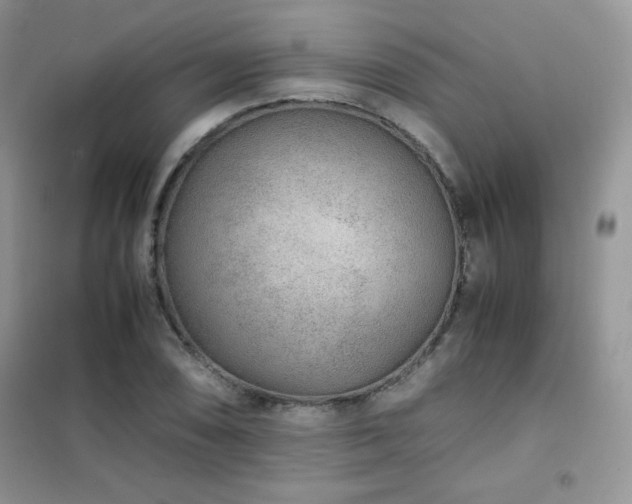 X0000102381074200808011531