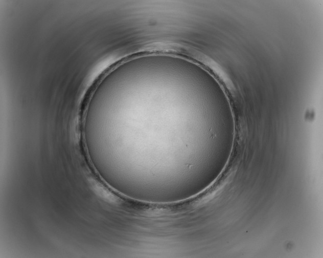 X0000102381075200808011531