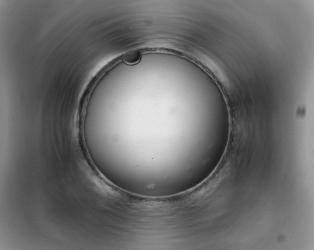 X0000102381076200808011531