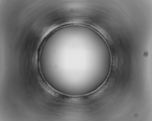 X0000102381078200808011531