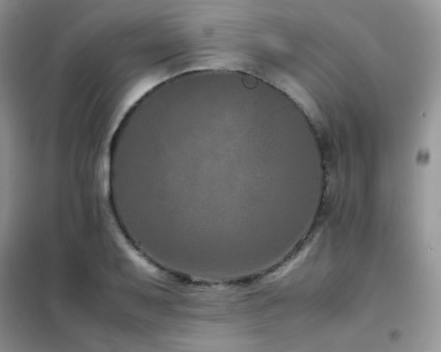 X0000102381079200808011531