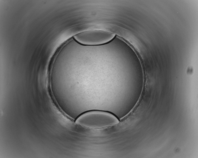 X0000102381080200808011531