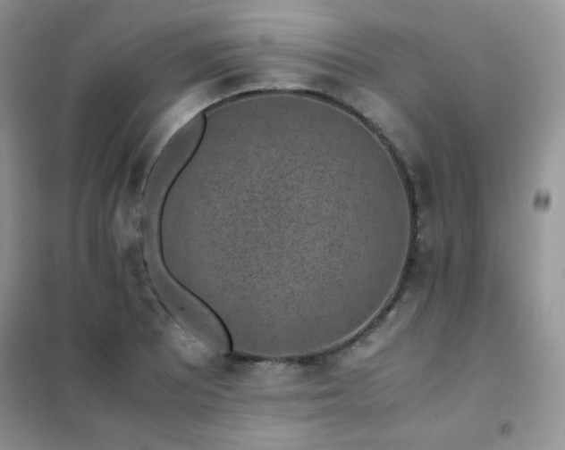 X0000102381081200808011531