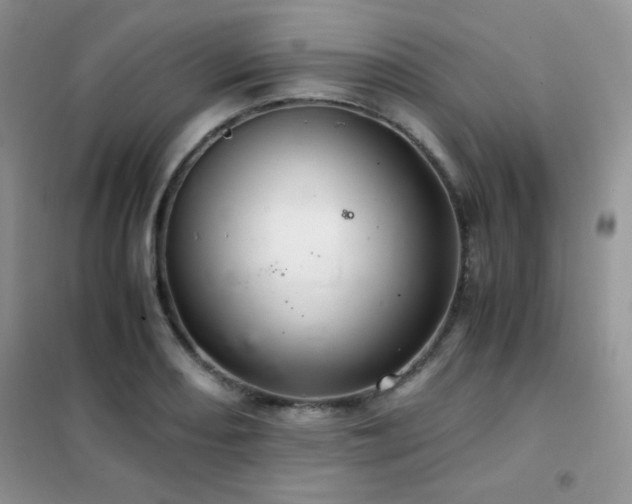 X0000102381082200808011531