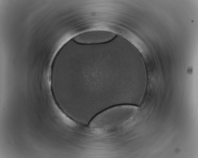 X0000102381084200808011531