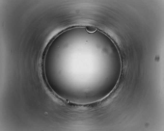 X0000102381085200808011531